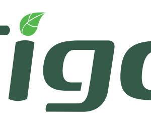 Logo Tigo